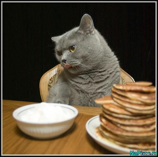 Доброго и вкусного утра )