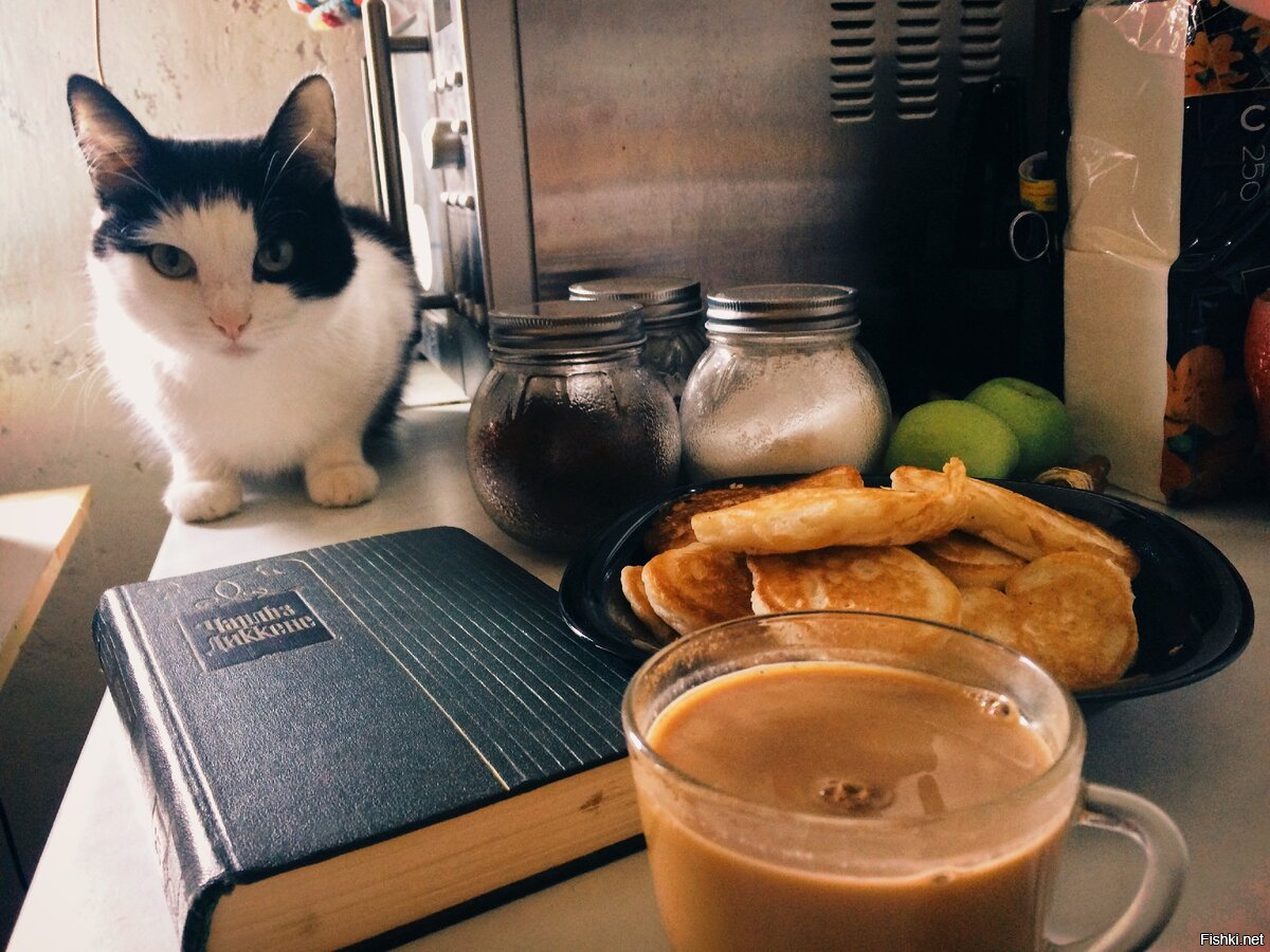 Доброго утра