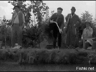 Солянка от 03.11.2025