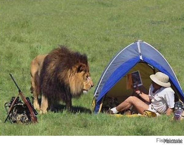 Солянка от 03.11.2025