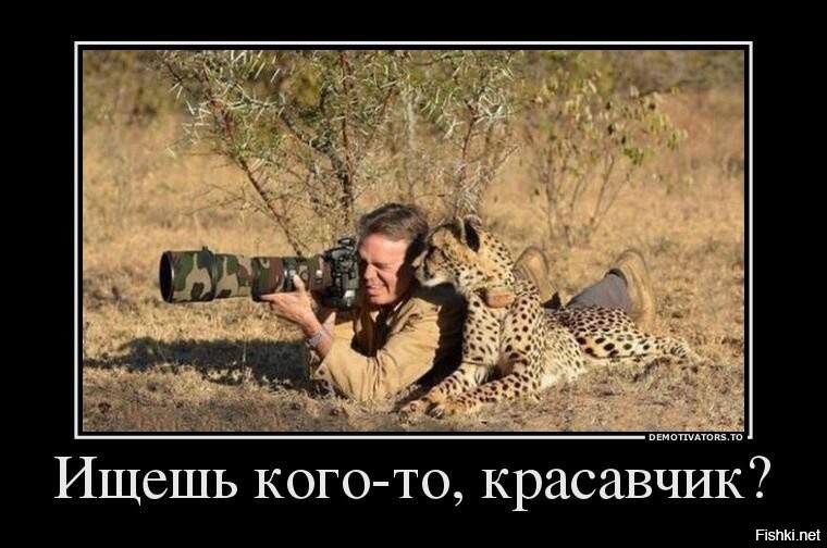 Солянка от 03.11.2025