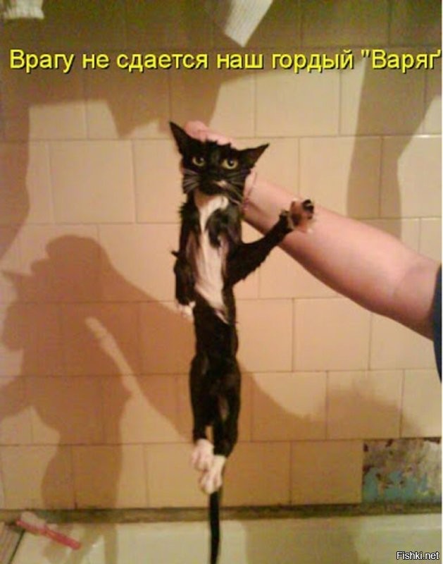 Солянка от 03.11.2025