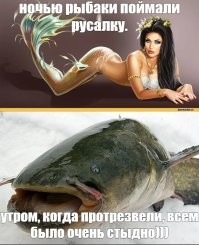 Русалки существуют — просто мы ищем не там