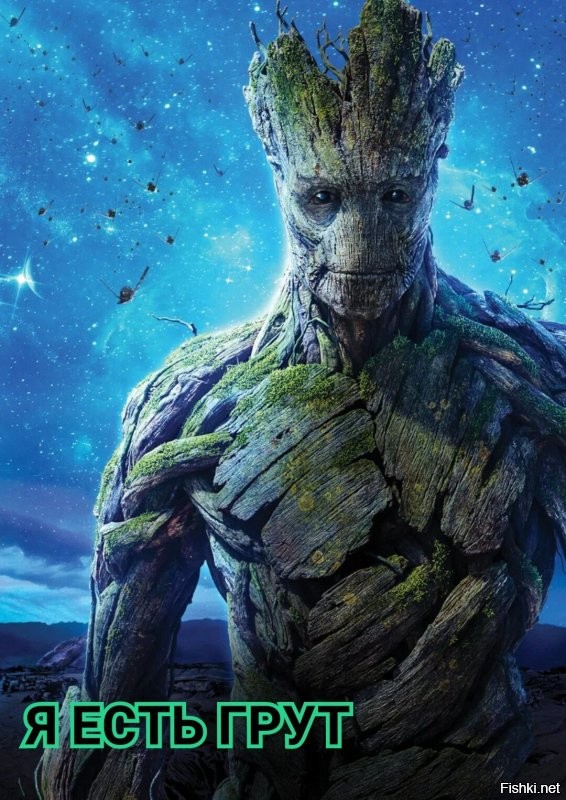 В Ленобласти нашли древнейший пень возрастом 385 млн лет