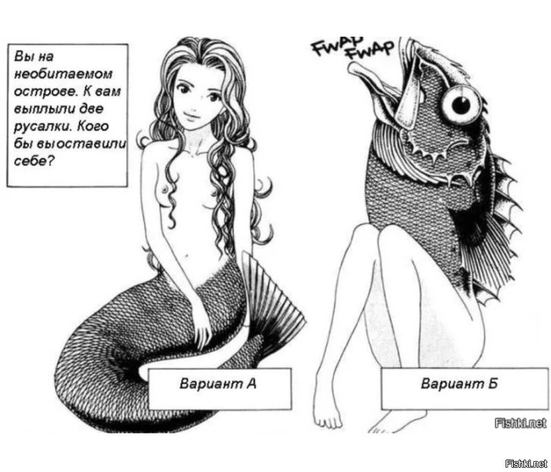 Русалки существуют — просто мы ищем не там