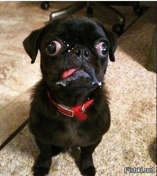 тебе хохлы набздели в ущи что послали 700 дронофф ? а прилетело только 4 ? и тех сбили по дороге.
а куда остальные делись ? так это лютый пздёж зели.... как всё что он там пищщит.
так что горят только пердаки у хохлопадалей, типа тебя!