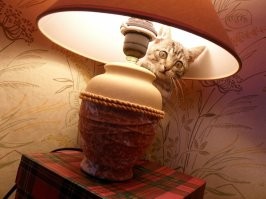 Как мужик купил склад и стал миллионером за один день