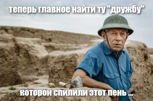 В Ленобласти нашли древнейший пень возрастом 385 млн лет