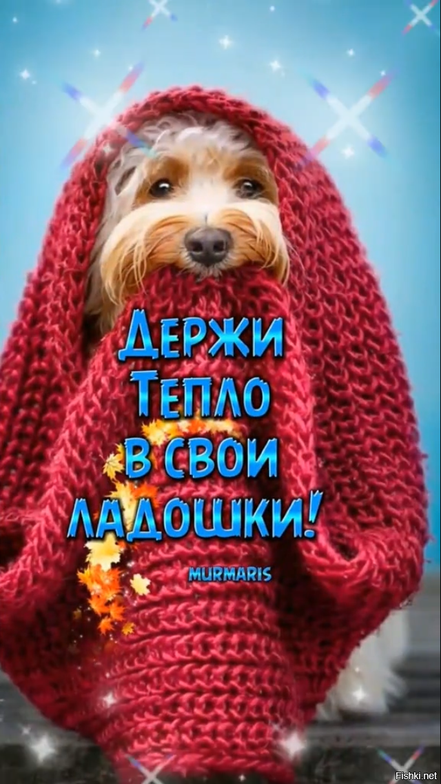 Доброе утро,хорошего дня