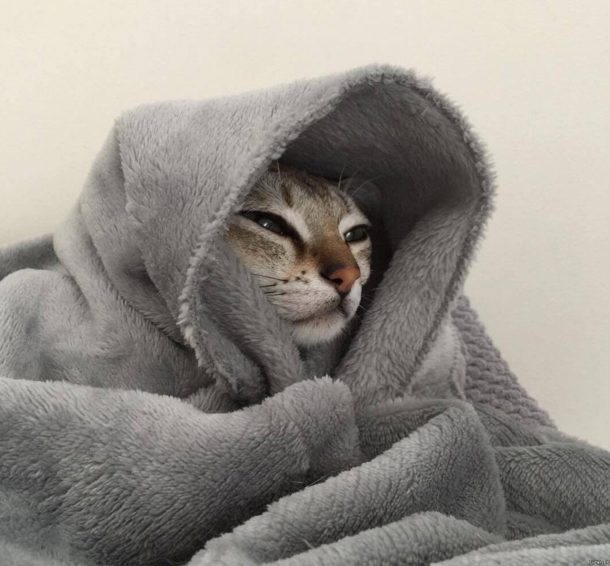 Доброе утро