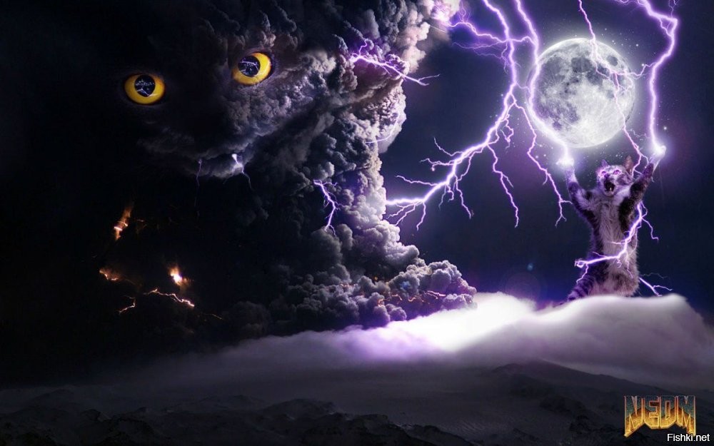 Солянка от 04.11.2025