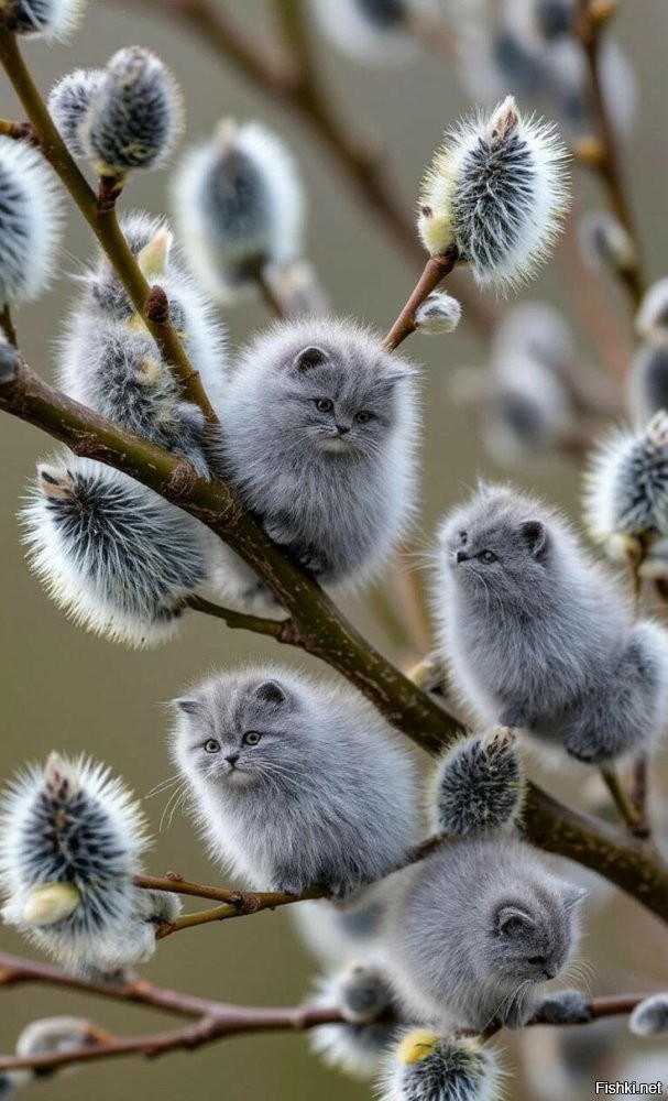 ... , а там и весна не за горами ,,,