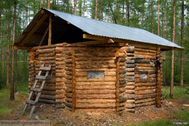 У якутов есть такие избушки охотничьи. Называются "Үүтээн". Вот где единение с природой.