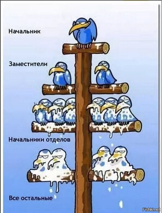 Солянка от 04.11.2025