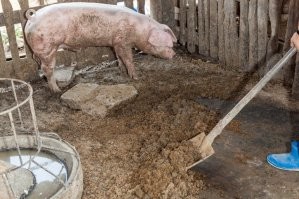 Ну вы чилите примерно на одном уровне.