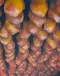 Представляю какой там запах!