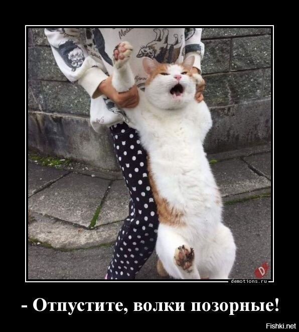 Солянка от 04.11.2025