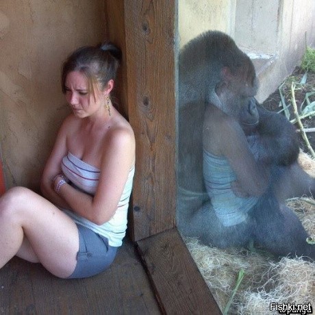 Поругались...