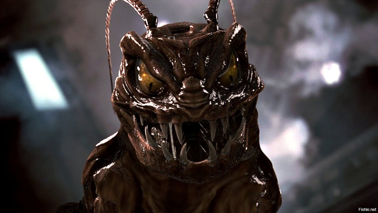 В Камбодже у подростка в ухе обнаружили живого таракана