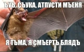 Китайские космонавты пожарили шашлыки на орбите