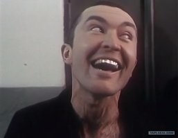 Сибиряк получил 10 суток ареста из-за торта на день рождения