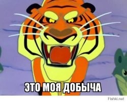 Кот до последнего защищал украденную курицу