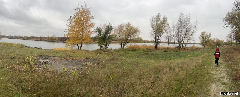 Ростовский ноябрьский лес