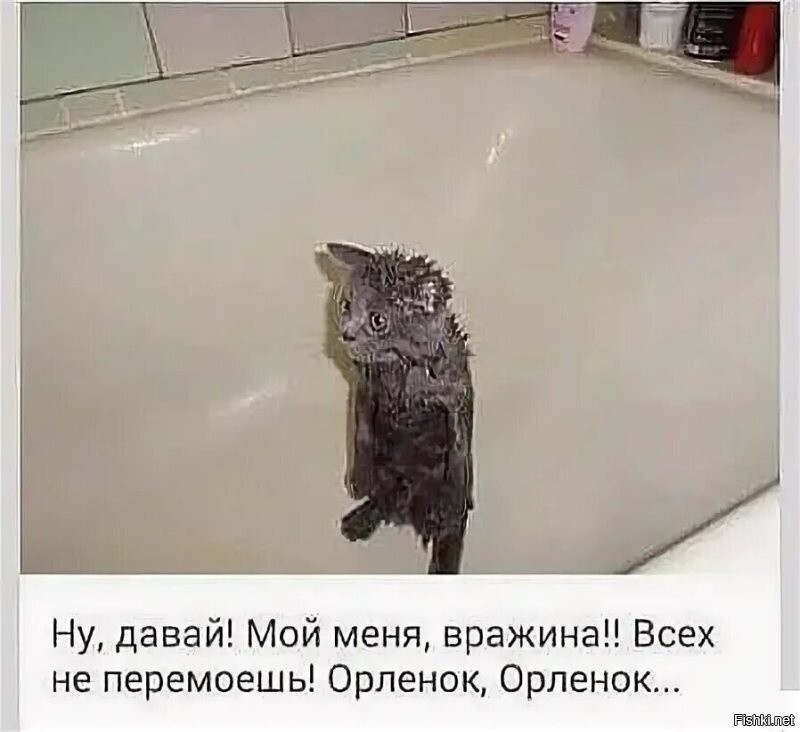 Солянка от 05.11.2025