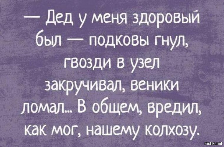 Солянка от 05.11.2025