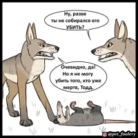 Реакция опоссума на своё отражение в зеркале