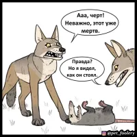 Реакция опоссума на своё отражение в зеркале