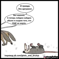 Реакция опоссума на своё отражение в зеркале