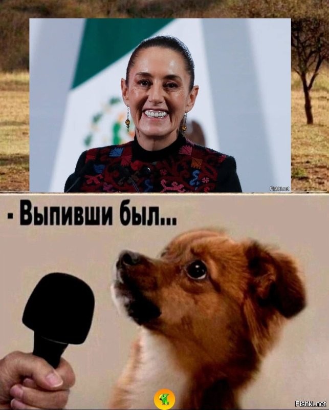 Пьяный мужчина облапал президента Мексики