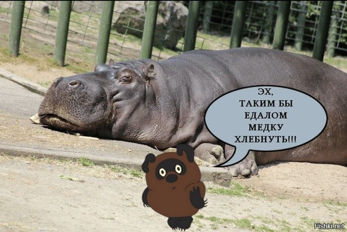 На Филиппинах выбрали королеву красоты конкурса "Мисс Земля-2025"