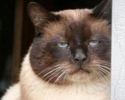 Весело там у них...