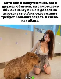 Вселенная услышала просьбу девушки