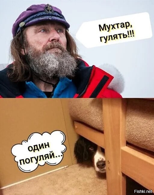 Смешные картинки