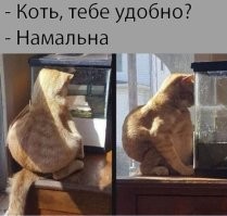 Демотиваторы на любой вкус