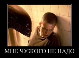 Смешные картинки