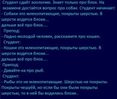 "А втулку мы сделаем деревянной, потому что никто до этого места не дочитает": пользователи обсуждают пасхалки в курсовых