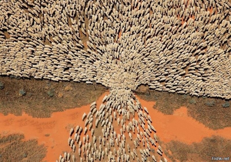 Смешные картинки