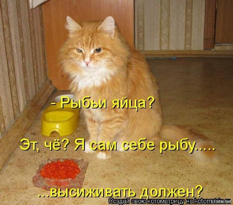 Девушка случайно попробовала свинину, которую не ела 22 года