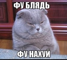 ВЦИОМ назвал Shaman лучшим певцом года