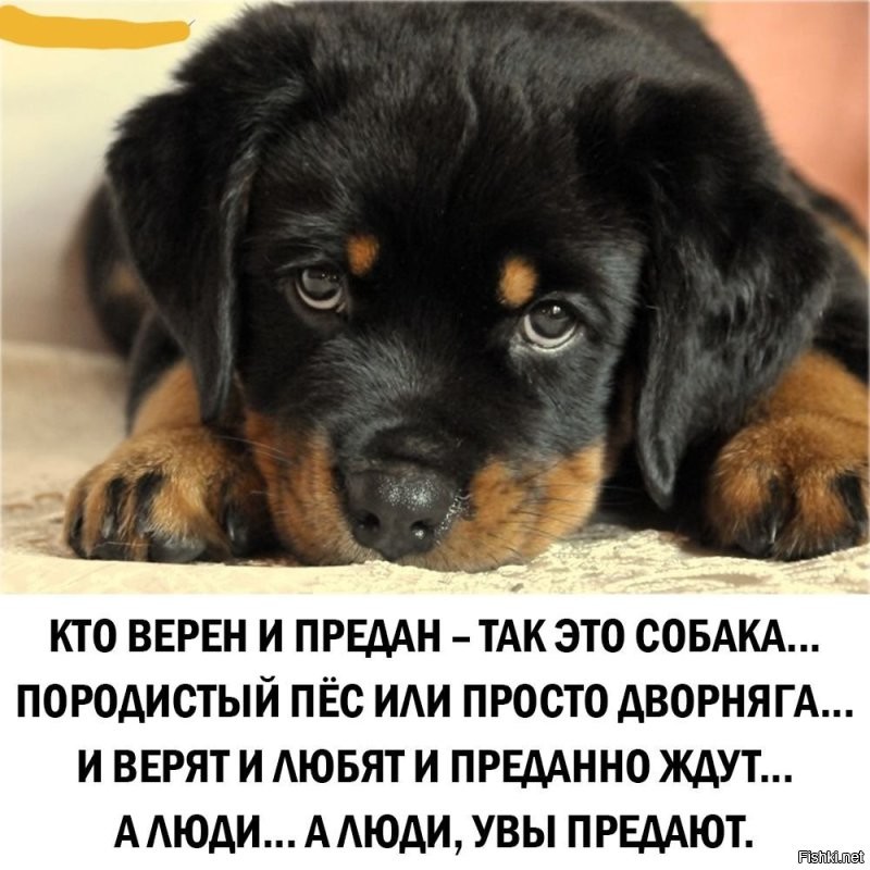 Как может выглядеть типичный человек в 2050 году