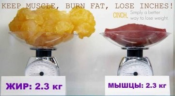 Мускулатуры много, жира мало. А ИМТ для женщины довольно большой.