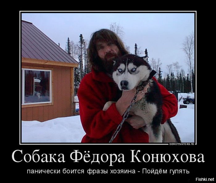 Смешные картинки