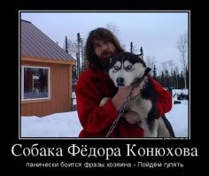 Смешные картинки