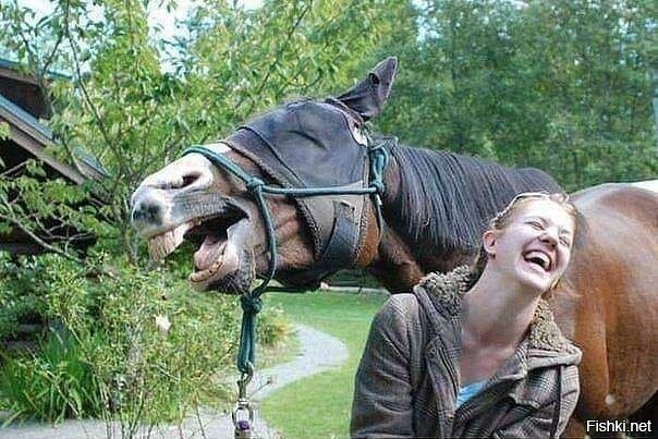 Солянка от 06.11.2025