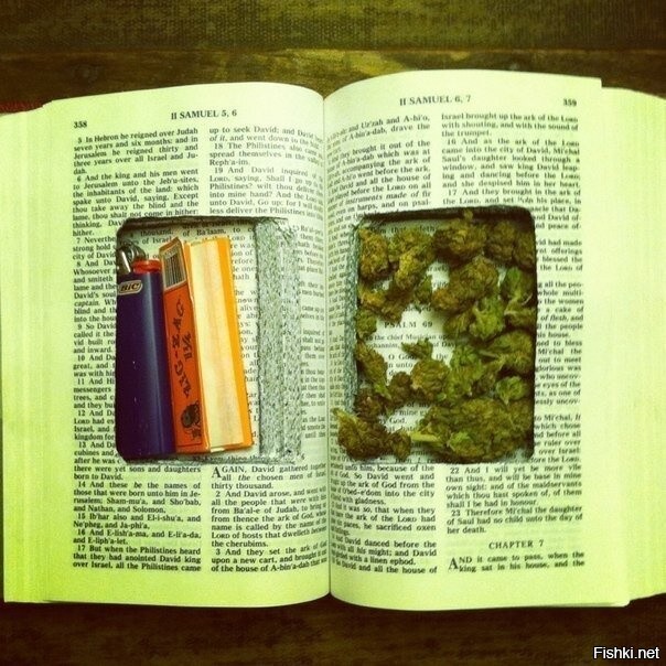 Инструкцию изучает