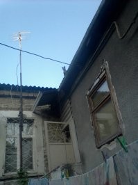 у меня был черный пушистый кот по кличке Рыжик (чтобы шаблоны рвались))). снимали квартиру в многоквартирном одноэтажном доме, двор общий. миска с кормом стояла в коридоре за дверью, и первое время у кота еду внаглую выедали, пока он как лошарик смотрел на безобразие. но постепенно вжился в экосистему, нашел себе друга - тоже черный кот, но шерсть короткая, и на шее ошейник с шипами декоративными. чей он, не знаю, но между собой прозвали Металлистом. они часто вместе тусили по району или отдыхали во дворе.однажды на крыше оказалась кошка чужая, с соседнего двора. хозяйка прибежала, причитает, зовет спуститься. а та орет дурниной на крыше и не понимает, что делать. наши коты сели под скатом, смотрят этот цирк, мяукают)) ужасно скучаю по этому чудовищу, притаскивавшему на завтрак птичек и мышей...